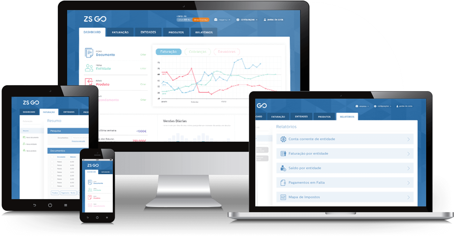 Interface Software ZS go
